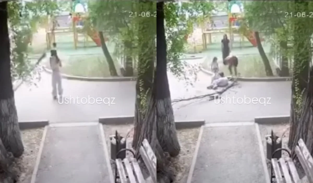 Ветка дерева упала на девушку в Уштобе: начата проверка (ВИДЕО)