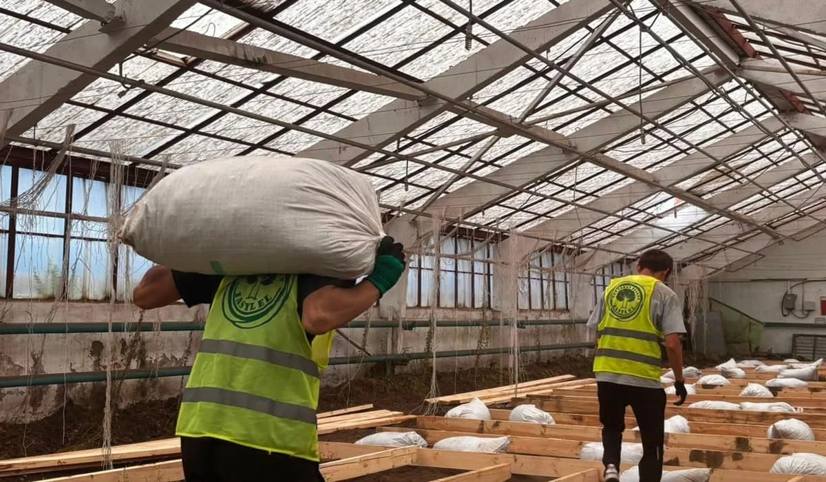 Agro Eco Hub: в Костанайской области появится демонстрационная теплица со 100 видами растений
