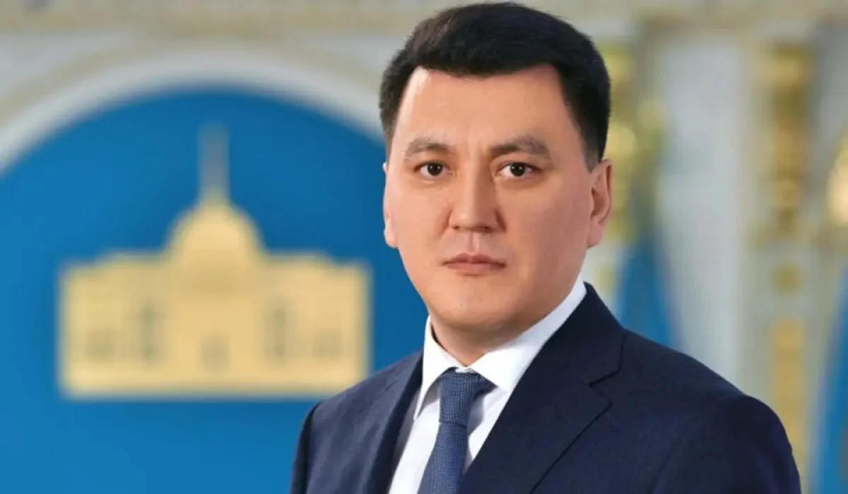 Разъяснение Конституционного суда имеет сугубо нормативно-правовой характер – Карин