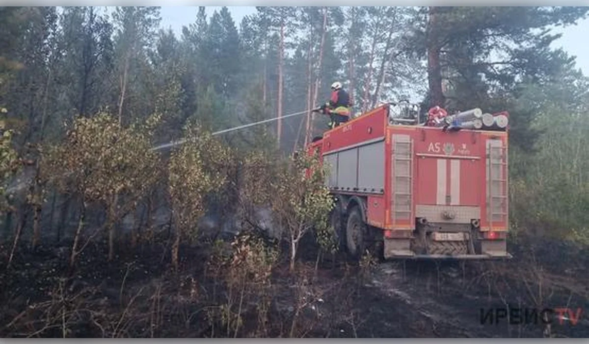 Лесной пожар произошел в резервате «Ертіс орманы» в Павлодарской области