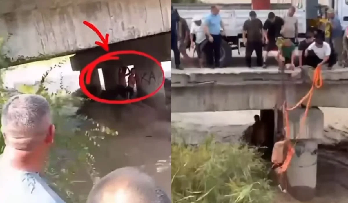 Бурная река отрезала подростков от берега под мостом: их спасение сняли на видео в области Жетысу