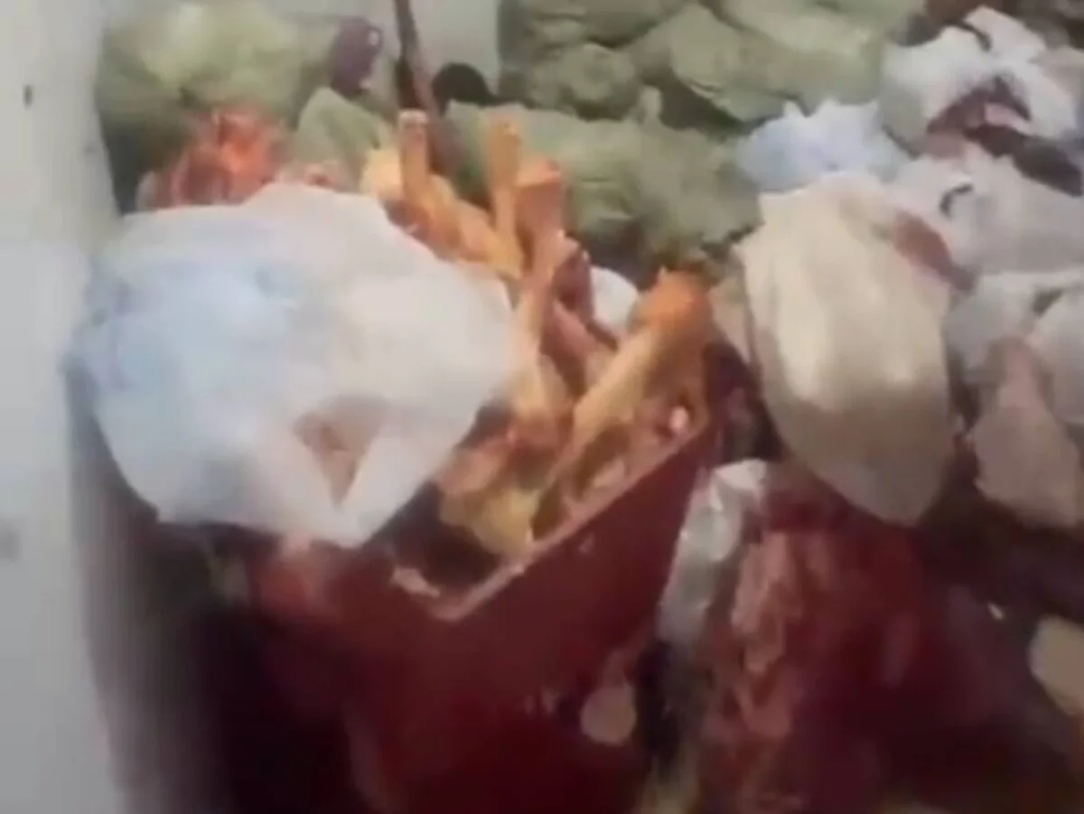 Три тонны гнилого мяса могли попасть на столы жителей Астаны (ВИДЕО)
