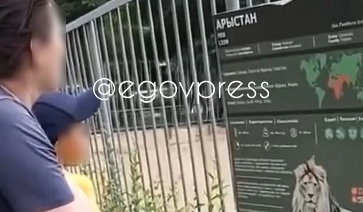 Женщина бросала камни во львов при детях в зоопарке Алматы