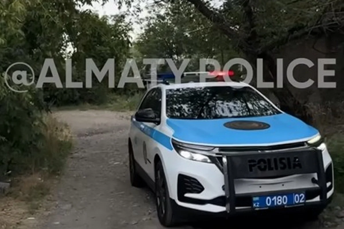 Ссора между мужчинами в Алматы закончилась ударом ножом в грудь