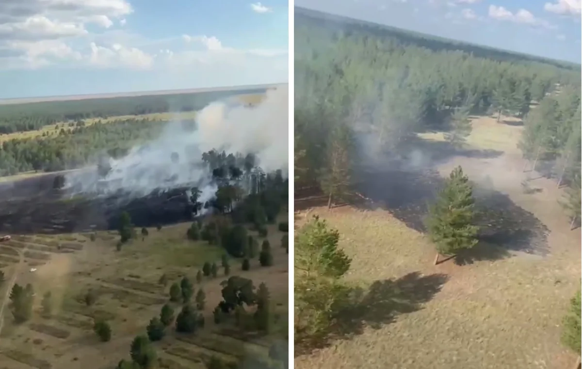 47 пожаров за неделю: где в Казахстане полыхали леса (ВИДЕО)
