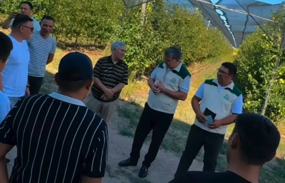Партия «Ауыл» обсудила с жителями Енбекшиказахского района вопросы развития региона