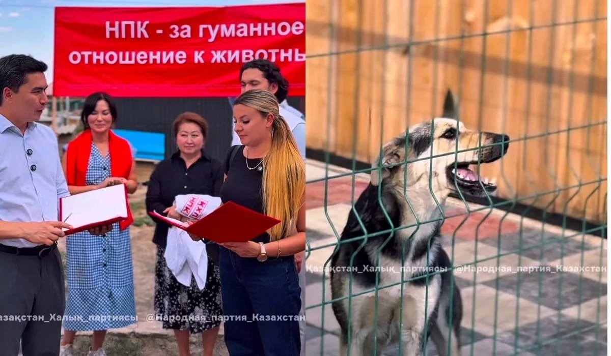 НПК: забота проявляется не в словах, а в поступках