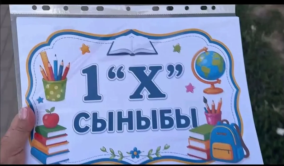 «1 «Х» сыныбы»: казахстанцев удивило количество первых классов в школах (ВИДЕО)