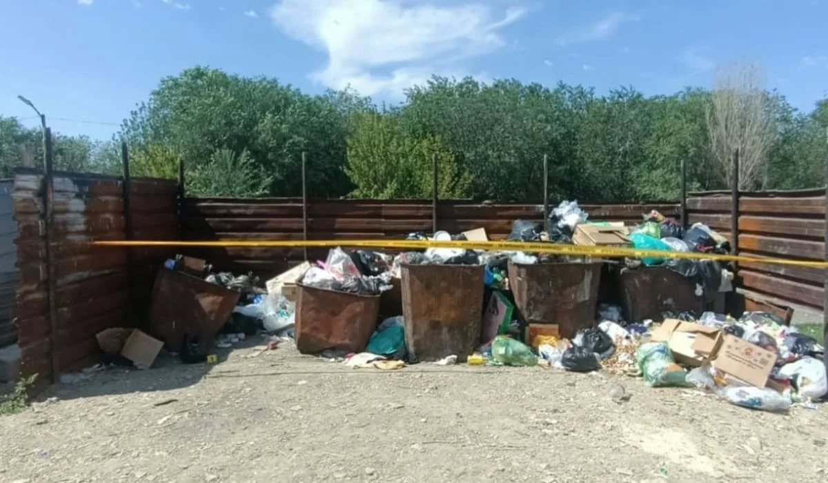 Новорожденного нашли в мусорке: полиция установила его мать в Жамбылской области