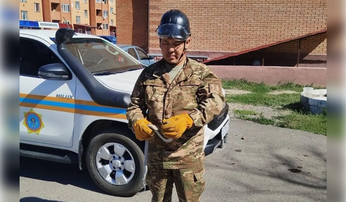 Змею отловили возле жилого дома в Карагандинской области (ВИДЕО)