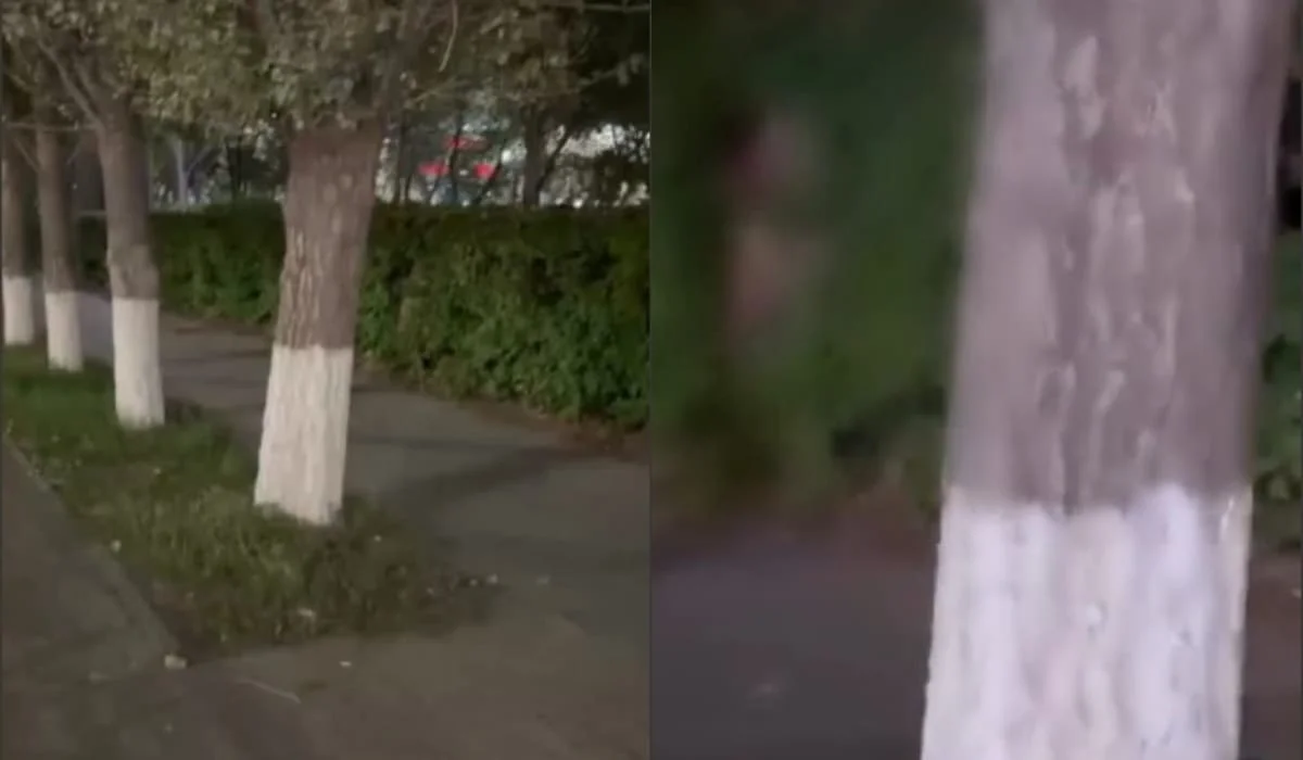 Извращенца в кустах сняла на видео жительница Астаны