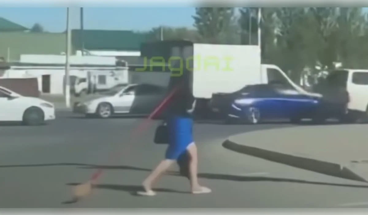 Девушка тянула котенка на веревке по улице Астаны: кадры возмутили казахстанцев