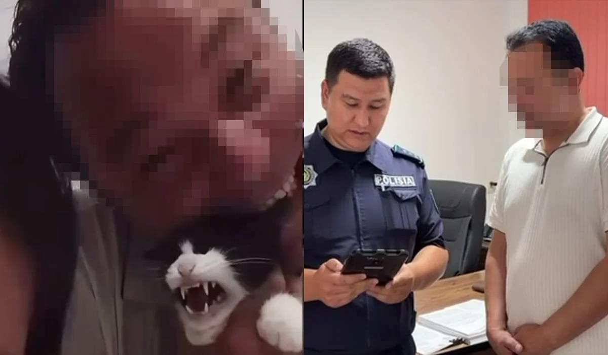 Казахстанец жестоко обращался с кошкой во время стрима в TikTok: его задержала полиция