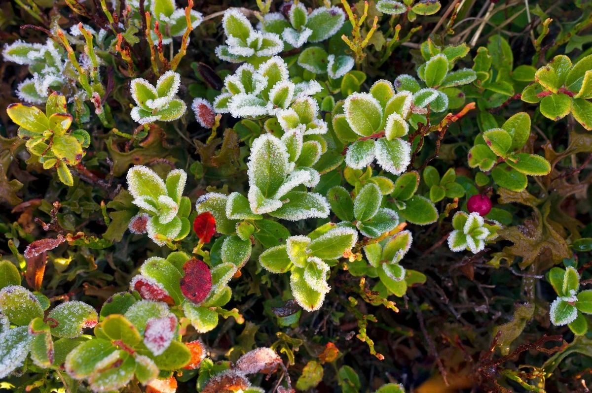 Ожидаются заморозки и дожди: погода в Казахстане 26 сентября