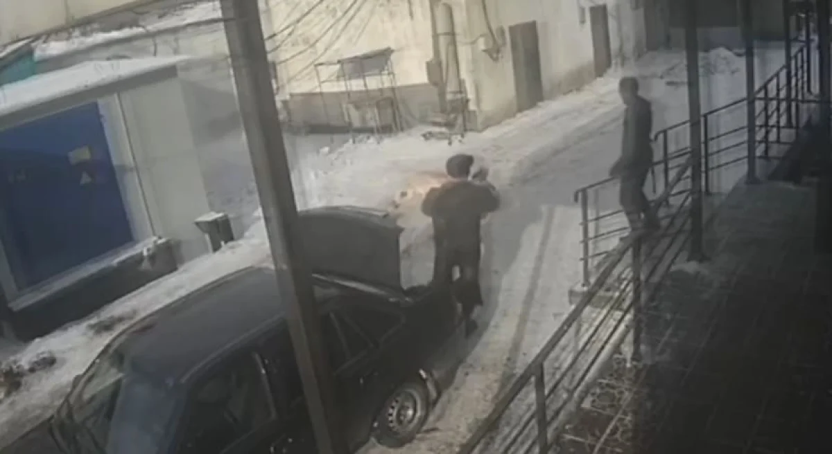 36 голов скота похитила группа из 11 человек в области Абай (ВИДЕО)
