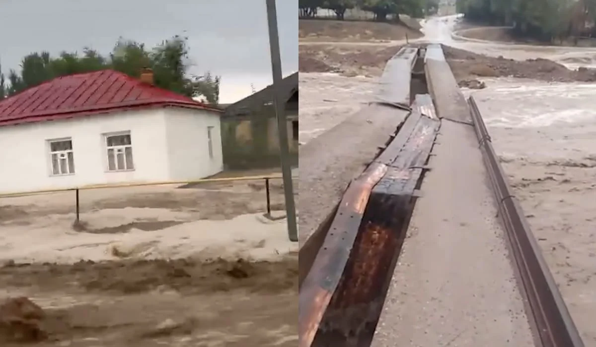 Селевые потоки обрушились на несколько сел на юге Казахстана (ВИДЕО)