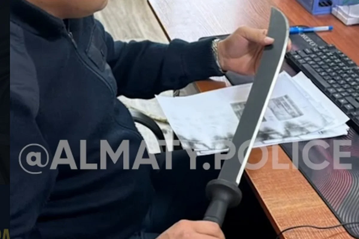 Четверых мужчин с арматурой и мачете в машине задержала полиция в Алматы
