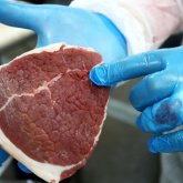 Зараженное сибирской язвой мясо продавали в Жамбылской области