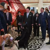 Казахских тазы показали президенту Южной Кореи