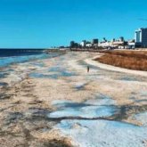 Участок побережья Каспия вернули государству в Мангистауской области