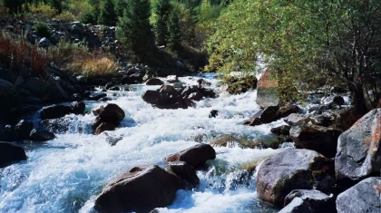 Подъем уровня воды ожидается на горных реках близ Алматы