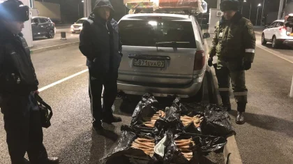 348 рогов сайгака пытались вывезти в Россию