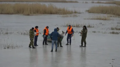 10 лебедей спасли от морозов в Петропавловске