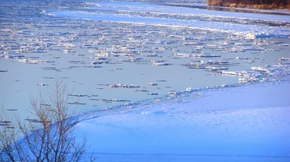 Уровень воды в Сырдарье приблизился к опасной отметке