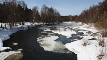 Теплую погоду прогнозируют синоптики на 12 марта