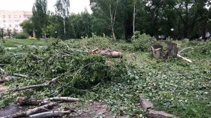 Бизнесмен уничтожил сквер в центре Петропавловска