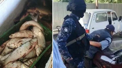 Группу браконьеров задержали на Шардаринском водохранилище