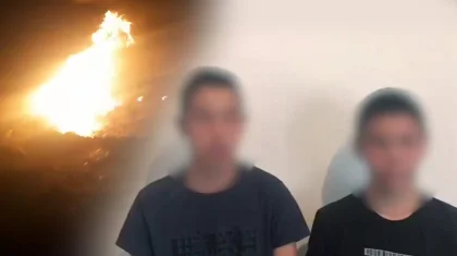 Собаку ради забавы сожгли подростки в Алматинской области