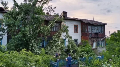 Семь человек пострадали из-за сильного ветра в Аягозе