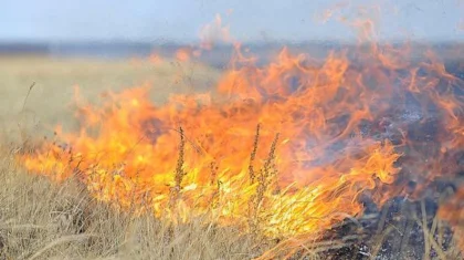 Четвертые сутки тушат степной пожар в Жамбылской области