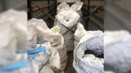 10 тонн золотосодержащей руды пытались вывезти из Казахстана