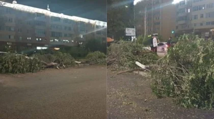 Несколько деревьев снес автомобиль на главном проспекте Актобе