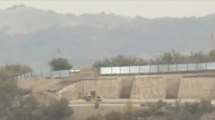 Яблоневые сады вырубают под коттеджи в Алматы