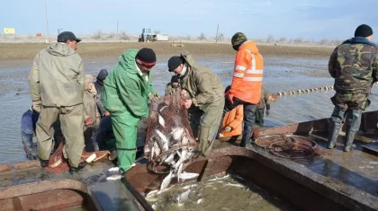 Казахстанские рыбаки большую часть своего улова отправляют за рубеж