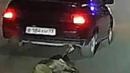«Вся дорога была в крови»: авто протащило собаку по улицам Атырау