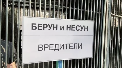 «Беруны и несуны»: видео о взяточниках набирает популярность в Казнете