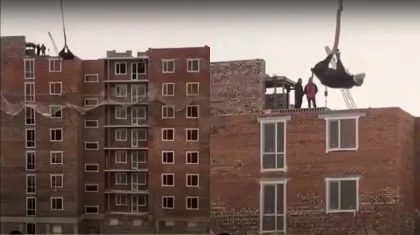 Летающую корову сняли на видео в Нур-Султане