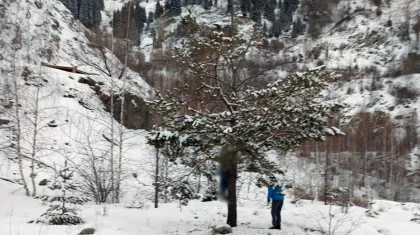Тело женщины нашли повешенным на дереве в Алматы