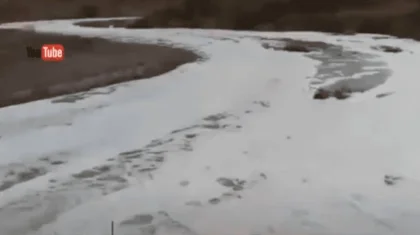 Грязной пеной с едким запахом покрылась одна из рек в Алматинской области