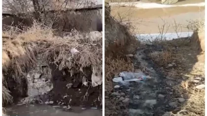 Нечистоты сливали в реку в Шымкенте
