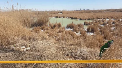 Девочка и мальчик утонули в озере рядом с домом в Кызылординской области