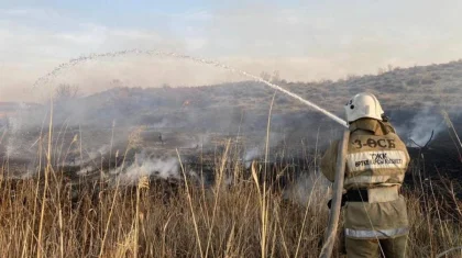 Бушевавший в Алматинской области несколько дней пожар потушен