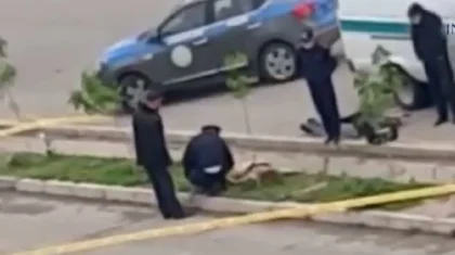Астанчанку нашли мертвой в арыке в Шымкенте