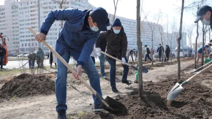 Байбек объяснил важность проекта Елбасы по созданию «зеленого пояса» вокруг столицы