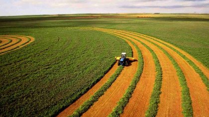 Мораторий на продажу сельхозземель для казахстанцев продлили на пять лет