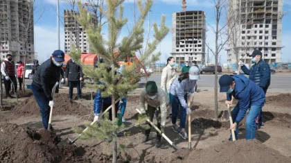 «30-летие Независимости»: Болашаковцы посадили деревья в столице